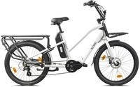 Cargo City E-Bike Cargado