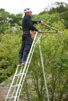 Niwaki Gartenleiter und 3-Holm-Leiter 360 cm