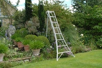 50NRTH Niwaki Gartenleiter und 3-Holm-Leiter 240 cm