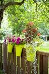 KHW Gel&auml;nderblumentopf Flowerclip, 3er Set, gr&uuml;n