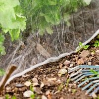Insektenschutz-Netz 5x2m weiss