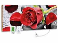 800W marmony® Infrarot-Heizung Motiv "Red Rose"