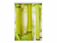 Lichtblick Rollo Klemmfix, ohne Bohren, blickdicht, Bambus - Grün, 100 x 150...