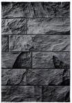 Teppich, PARMA 9250, BLACK, 200 x 290 cm