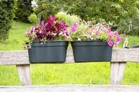 KHW Gel&auml;nderblumentopf Flowerclip XL, 2er Set, anthrazit