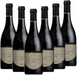 Gran Passione di Bertoldi Rosso Veneto IGT Italien halbtrocken - 6er Karton