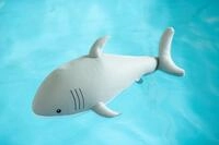 50NRTH Westmann Pool Buddy Hai