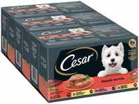 CESAR® Schale Multipack 24 Mega Pack Klassik-Terrine 4 Varietäten 24 x 150g
