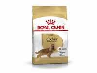 Royal Canin Cocker Adult Hundefutter trocken, 12 kg