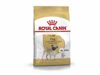 Royal Canin Pug Adult Hundefutter trocken für Mops, 1,5 kg