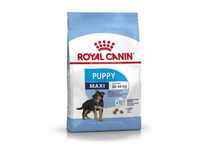 Royal Canin Maxi Puppy Welpenfutter trocken für große Hunde, 10 kg