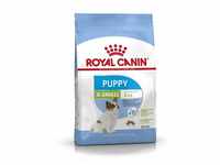 Royal Canin X-Small Puppy Welpenfutter trocken für sehr kleine Hunde, 3 kg