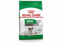 Royal Canin Mini Ageing 12+ Trockenfutter für ältere kleine Hunde, 3,5 kg