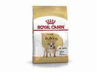 Royal Canin Bulldog Adult Hundefutter trocken, 3 kg