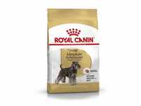 Royal Canin Miniature Schnauzer Adult Hundefutter trocken für Zwergschnauzer, 3 kg