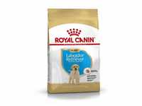 Royal Canin Labrador Retriever Puppy Welpenfutter trocken, 3 kg
