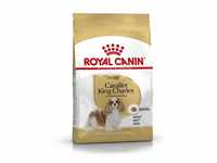 Royal Canin Cavalier King Charles Adult Hundefutter trocken, 1,5 kg