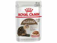 Royal Canin Feline 12+ in Soße oder Gelee Nassfutter für ältere Katzen, 12 x 85g