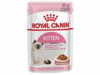Royal Canin Kitten Nassfutter, 12 x 85 g Soße