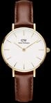 Daniel Wellington DW Uhr Petite St Mawes Gold 32mm