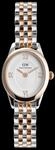 Daniel Wellington DW Uhr Ophelia Mini Two Tone Rose Gold 22x25.5mm