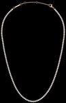 Daniel Wellington DW Classic Tennis Necklace 40-44 cm Rose Gold