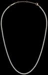 Daniel Wellington DW Classic Tennis Necklace 40-44 cm Gold