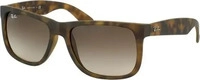 Ray-Ban ebd0000017296, Ray-Ban 713132587102 Havana/havana/rubber Black, Size: Small