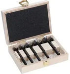 Bosch EXPERT Wood Forstnerbohrersatz, 5-teiliges Set - 2608901843