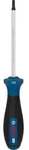 Bosch PRO Schraubendreher TX20 x 100 mm - 1600A039SB