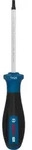 Bosch PRO Schraubendreher TH25 x 100 mm - 1600A039SM