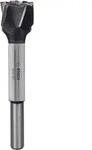Bosch Scheibenschneider, 10 mm, 140 mm - 2608585745