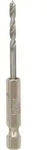 Bosch Holzspiralbohrer mit 1/4 Zoll-Sechskantschaft - 2608595519