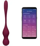 Satisfyer Love Birds Vary Beckenbodentrainer mit Fernbedienung - Lila