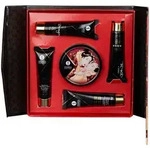 Shunga Geisha Sparkling Strawberry Wine Intim Massage-Set - Bunt