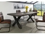 Baumtisch Mango 200x100x77 grau lackiert / X-Beine anthrazit gl&auml;nzend FREEFORM...