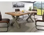 Baumtisch Sheesham 200x100x77 natur gebeizt / X-Beine silber matt FREEFORM 5