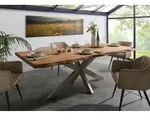 Baumtisch Sheesham 260x100x77 natur gebeizt / Kreuzgestell silber matt FREEFORM 5