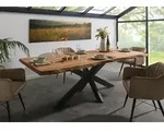 Baumtisch Sheesham 240x100x77 natur gebeizt / Kreuzgestell anthrazit matt FREEFORM 5