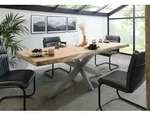 Baumtisch Mango 220x100x77 beige lackiert / Kreuzgestell silber matt FREEFORM 5