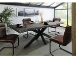 Baumtisch Mango 200x100x77 grau lackiert / Kreuzgestell anthrazit matt FREEFORM...