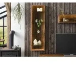 H&auml;ngevitrine Akazie 45x30x145 natur lackiert BARK #104