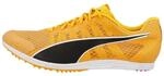 Puma Distance 11 Leichtathletikschuhe Schwarz Orange, Gr&ouml;&szlig;e 42,5 - EUR