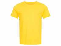 Nike Park Team Herren Shirt CZ0881-719 80377051-80376954