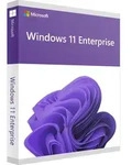 Microsoft Windows 11 Enterprise