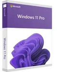 Microsoft Windows 11 Professional