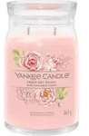 Yankee Candle Signature Fresh Cut Roses Duftkerze im Gro&szlig;en Glas, Yankee Candle