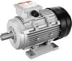 VEVOR 2,2 kW Elektromotor 2890 U/min, AC 400 V 4,7 A, 90 l, B3-Rahmen,
