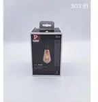 Paulmann Pendelleuchte Neordic Ketil schwarz E27 max. 60W