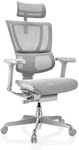 ERGOHUMAN SLIM G GEN2 | Netz - Luxus Chefsessel Hellgrau